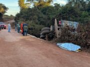 Caminhão cai de ponte e mata motorista em via de Sorriso