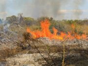 Focos de calor estão em 71% em apenas 31 cidades de MT