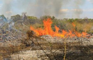 Focos de calor estão em 71% em apenas 31 cidades de MT
