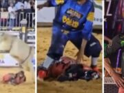 Vídeo – Jovem de 20 anos morre pisoteado por touro durante rodeio em MT