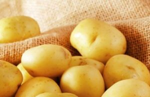 Redução no preço de 8 itens da cesta básica faz custo da alimentação cair em MT