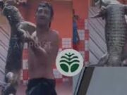 Veja Video – Homem é flagrado caminhando com jacaré no ombro em Manaus; veja