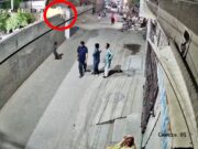 Veja Video – Leão escapa de casa no Paquistão e ataca mulher e crianças; veja