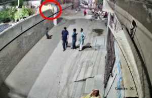 Veja Video – Leão escapa de casa no Paquistão e ataca mulher e crianças; veja