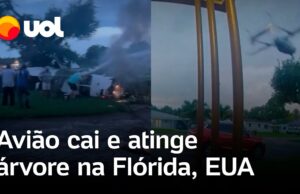 Veja Video – Avião cai e atinge árvore em área residencial nos EUA; moradores ajudam no resgate