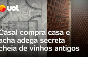 Casal compra casa em SP e acha adega secreta cheia de vinhos antigos; veja