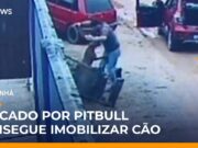 Pitbull ataca homem e vítima usa cadeira para se defender em SC;veja