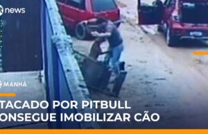 Pitbull ataca homem e vítima usa cadeira para se defender em SC;veja