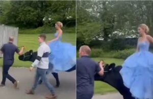 Em vídeo maravilhoso, Adolescente chega à formatura montada na vaca da família e rouba a cena, na Inglaterra