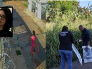 MP vê ameaça a protetores e quer reavaliação de cautelares impostas a acusada de matar animais