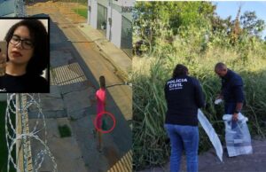 MP vê ameaça a protetores e quer reavaliação de cautelares impostas a acusada de matar animais