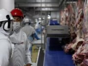 Analistas amenizam impacto do ‘tarifaço’ à carne bovina de MT