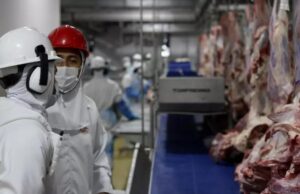 Analistas amenizam impacto do ‘tarifaço’ à carne bovina de MT