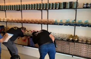 Marca denuncia produto pirata e polícia apreende 260 caixas em tabacaria