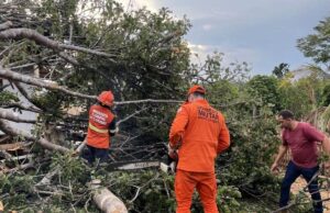 Temporal causa estragos em Juara e mobiliza equipe do Corpo de Bombeiros