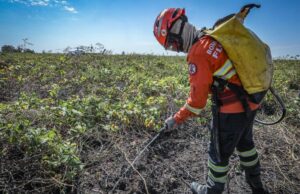 Corpo de Bombeiros combate 14 incêndios florestais em MT