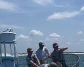 Veja Vídeo viral de captura de arraia ameaçada gera revolta nos EUA; veja