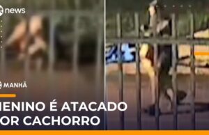 Veja Vídeo – Homem dá “mata-leão” em cachorro e salva menino de ataque no Paraná; veja