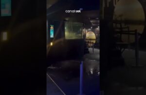 Veja Vídeo – Teto do AquaRio desaba e animal cai no chão após vazamentos: ‘Começou do nada’