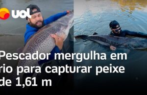 Veja Vídeo – Pescador mergulha em rio e captura peixe pintado de 1,61 metro no Mato Grosso do Sul; veja