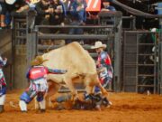 Veja Vídeo – Peão é atingido por touro no Rodeio Internacional em Barretos e é socorrido;