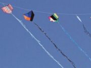 Projetos de lei preveem multas e punição para quem usar ou fabricar linhas cortantes em MT