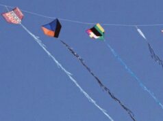 Projetos de lei preveem multas e punição para quem usar ou fabricar linhas cortantes em MT