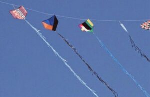 Projetos de lei preveem multas e punição para quem usar ou fabricar linhas cortantes em MT