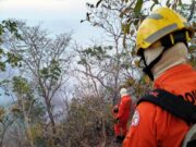 Proprietário é multado em R$ 80 mi por incêndio no Parque Serra Azul