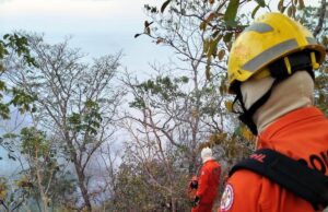 Proprietário é multado em R$ 80 mi por incêndio no Parque Serra Azul