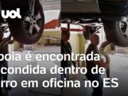 Veja Vídeo – Jiboia é encontrada escondida dentro de carro em oficina no ES; veja