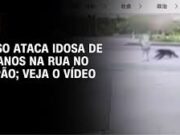 Veja Vídeo – Mulher de 82 anos foi atacada por um urso enquanto fazia caminhada matinal no Japão