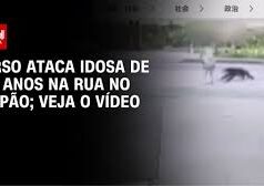 Veja Vídeo – Mulher de 82 anos foi atacada por um urso enquanto fazia caminhada matinal no Japão