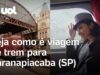 Passeio de trem mais concorrido de SP: Veja como é viagem para Paranapiacaba