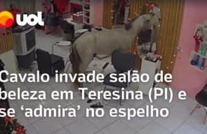 Veja Vídeo – Cavalo invade salão de beleza em Teresina (PI) e se ‘admira’ no espelho; veja