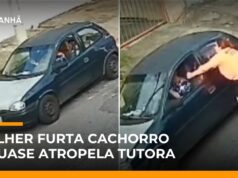 Veja Vídeo – Após cachorro escapar, mulher mente, furta animal e quase atropela tutora; veja