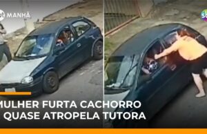 Veja Vídeo – Após cachorro escapar, mulher mente, furta animal e quase atropela tutora; veja