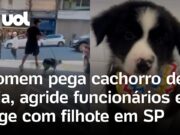 Veja Vídeo – Homem rouba filhote de cachorro de petshop em São Paulo e sai correndo; veja
