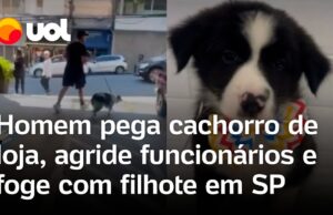 Veja Vídeo – Homem rouba filhote de cachorro de petshop em São Paulo e sai correndo; veja