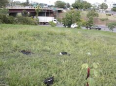 Mulher dá à luz e tenta abandonar recém-nascido em local frequentado por usuários de drogas