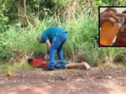 Homem encontrado amarrado e morto em área de mata é identificado