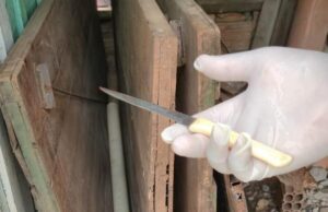 Acusado de matar ‘amigo’ durante bebedeira é preso em MT