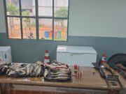 Idoso é preso com 5 espingardas, pescado irregular e 23 quilos de carne de caça