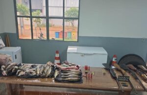 Idoso é preso com 5 espingardas, pescado irregular e 23 quilos de carne de caça