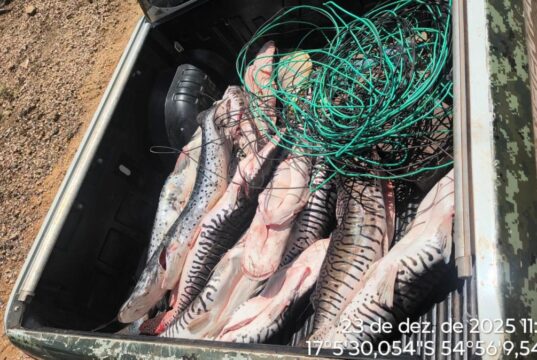 PM apreende 105 kg de pescado em freezers clandestinos no Rio Itiquira