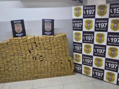 Traficante é perseguido e preso com meia tonelada de maconha em Strada em VG