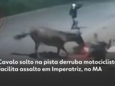 Veja Vídeo – Cavalo solto em pista derruba motociclista e ajuda ladrões em roubo; veja