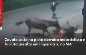 Veja Vídeo – Cavalo solto em pista derruba motociclista e ajuda ladrões em roubo; veja