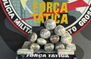 Criminoso é preso com 8 kg de drogas na bagagem em ônibus