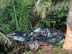 Dois morrem e um fica ferido em capotamento na BR-364